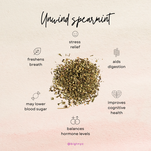 Spearmint Herbal Tea Health Benefits