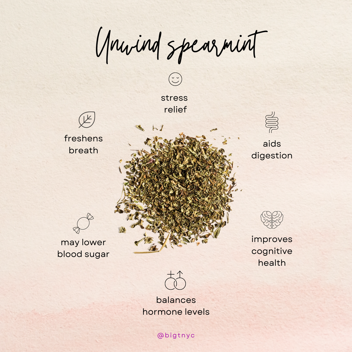 Health and Wellness Benefits of Spearmint Herbal Tea and Tisanes – Big ...