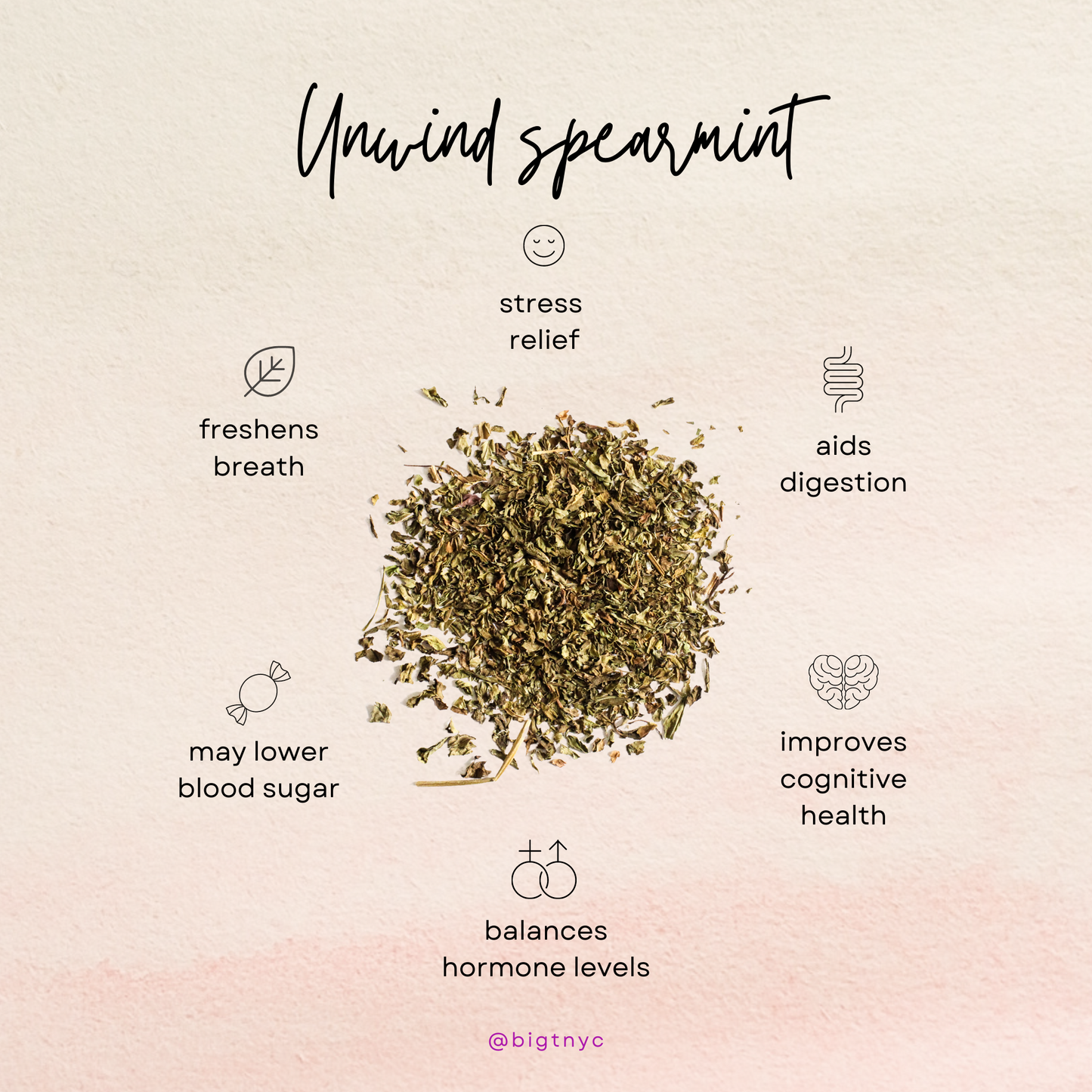 Organic Spearmint UNWIND Relaxing Tisane