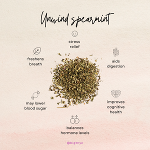 Organic Spearmint <br> UNWIND <br> Relaxing Tisane